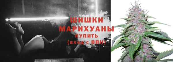 гидра Белокуриха