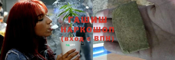 гидра Белокуриха