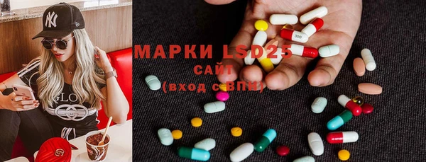 гидра Белокуриха