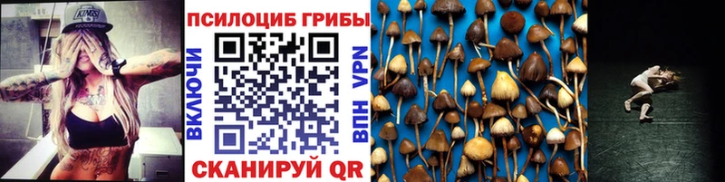 Псилоцибиновые грибы Psilocybine cubensis  Ворсма 